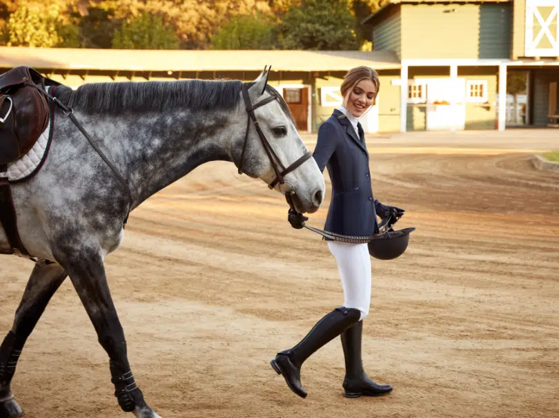 Top 5 Equestrian Clothing Manufacturers In The Uk